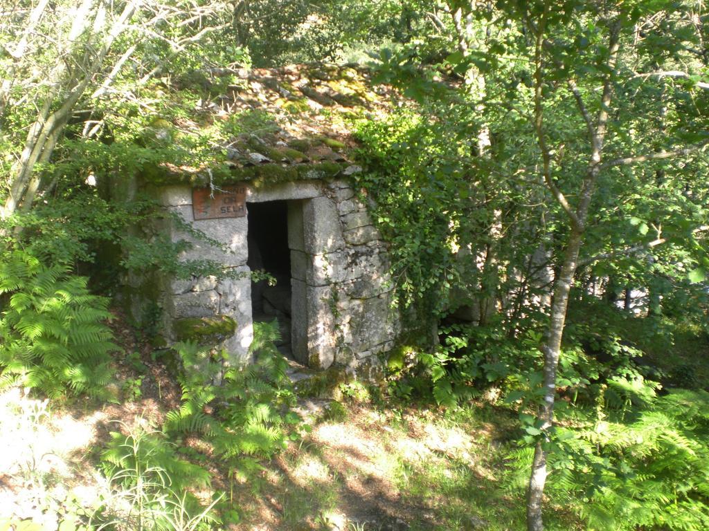 Apartamentos Via Nova Orense Kültér fotó